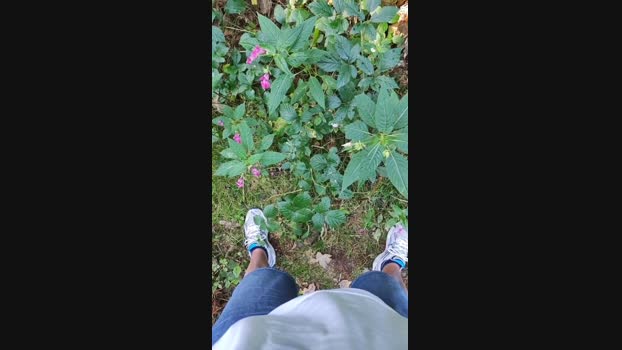 19mu65  12-09-2023 Recorded Video ass