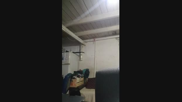 Tattoolife  11-09-2023 Recorded Video Nude