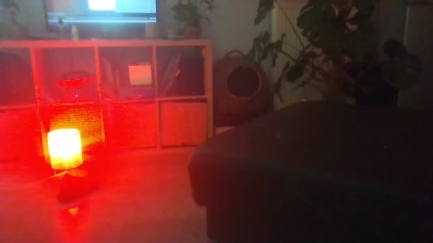 enviehot59  11-09-2023 Recorded Video ass