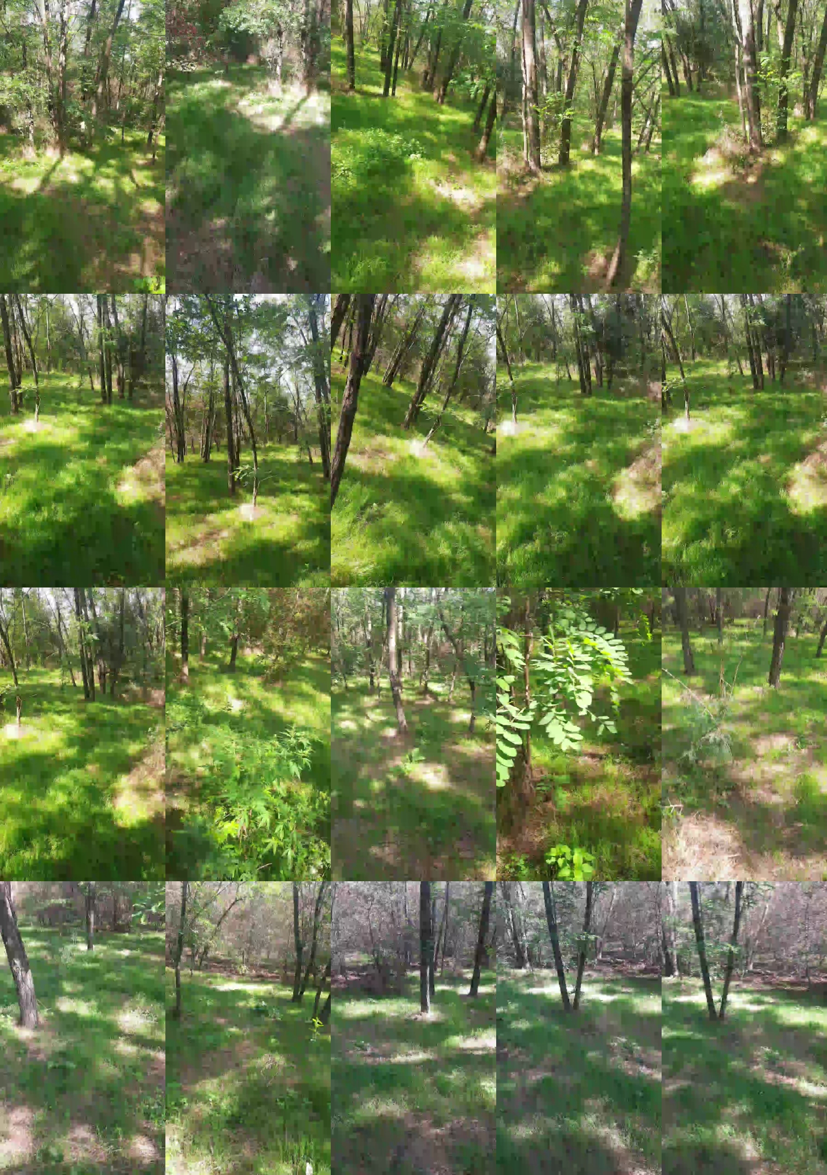 faraon47  12-09-2023 Recorded Video play