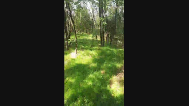 faraon47  12-09-2023 Recorded Video play