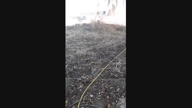 demir196  13-09-2023 Recorded Video lush