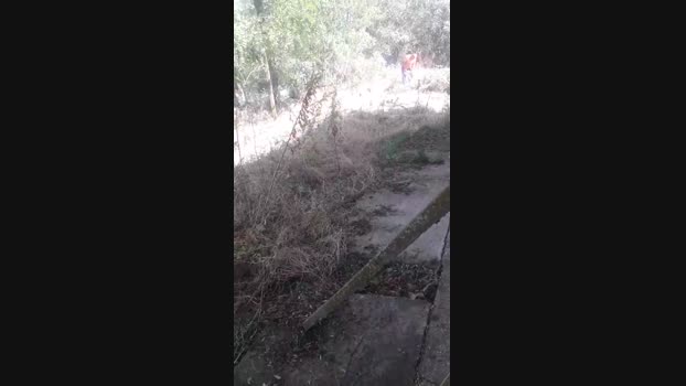 demir196  13-09-2023 Recorded Video suckcock