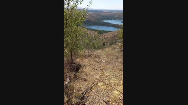 sikici20  14-09-2023 Recorded Video big