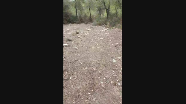6Q87  15-09-2023 Recorded Video toy