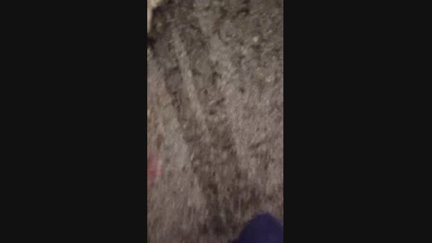 Carlosal22  14-09-2023 Recorded Video Porn