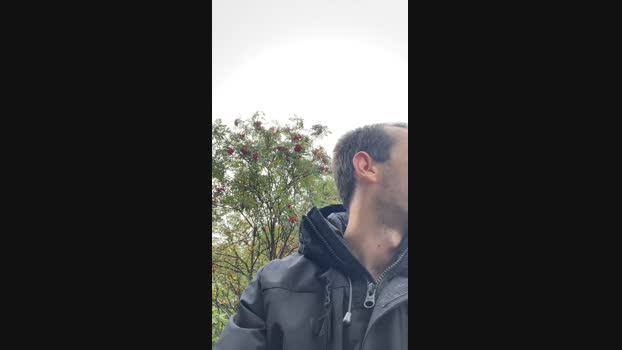 Joe061233321  15-09-2023 Recorded Video ass