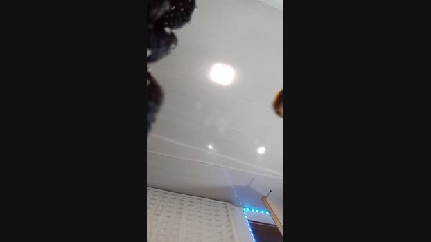 pettercat  14-09-2023 Recorded Video hot
