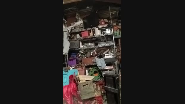 thompson3  15-09-2023 Recorded Video Porn