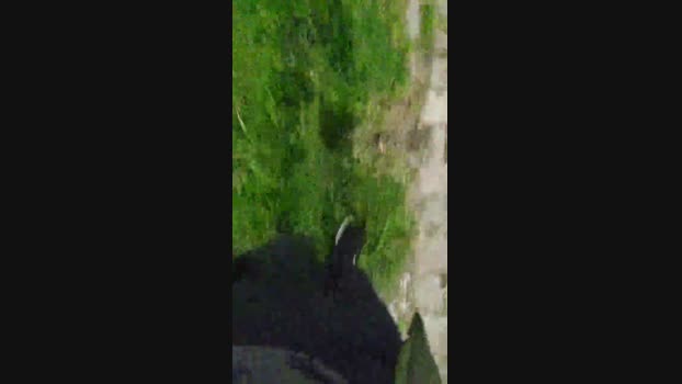 Baixinhobrasil  16-09-2023 Recorded Video spanking