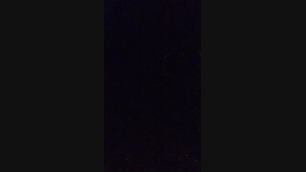 Gelberbarcellos