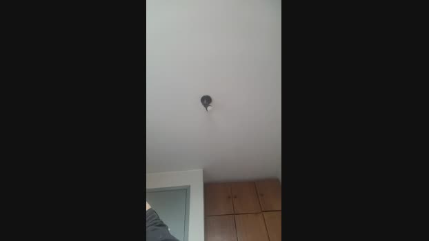 Luppinho  16-09-2023 Recorded Video jackoff