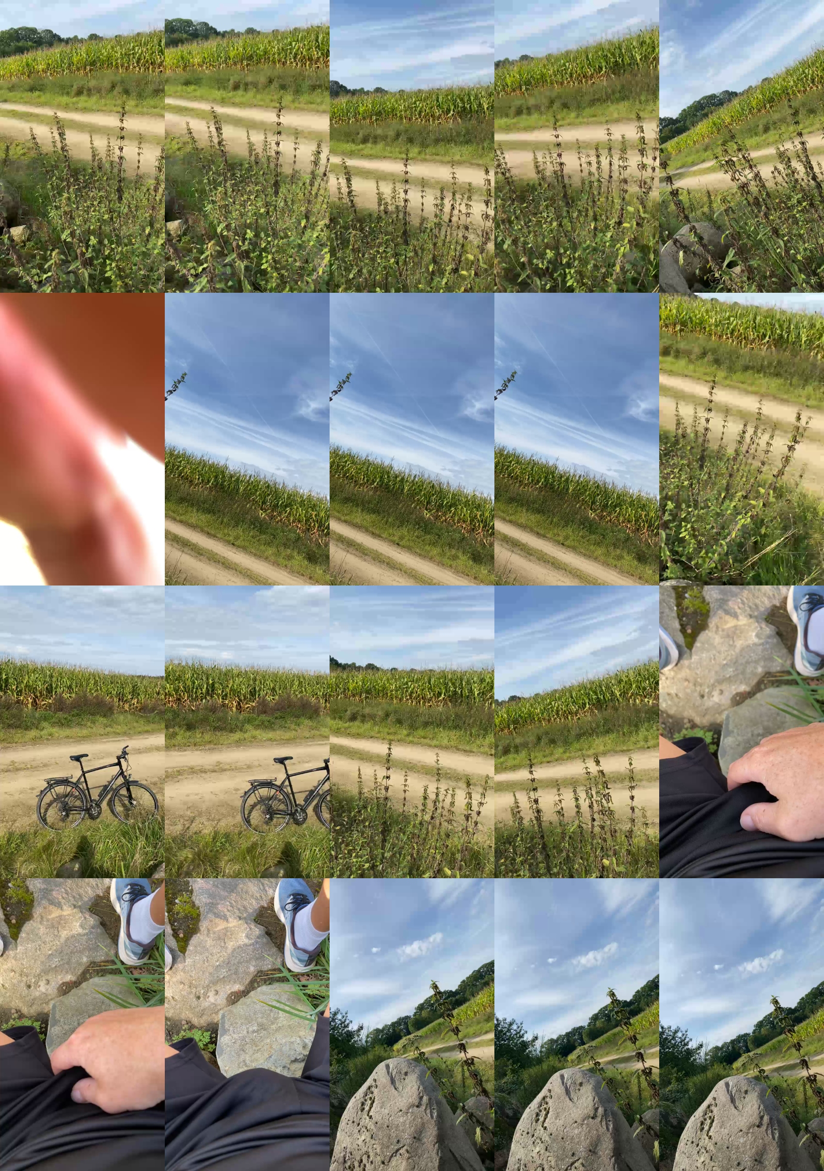 Zeigegeiler69  17-09-2023 Recorded Video orgasm