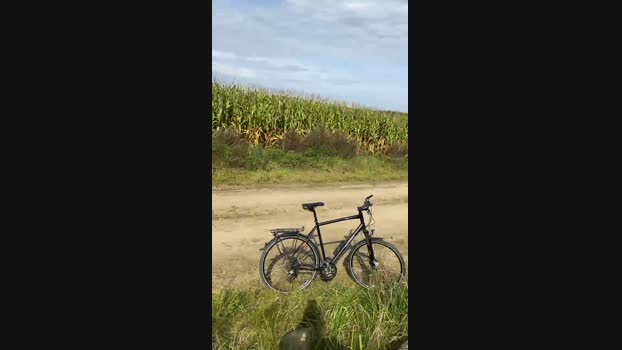 Zeigegeiler69  17-09-2023 Recorded Video orgasm