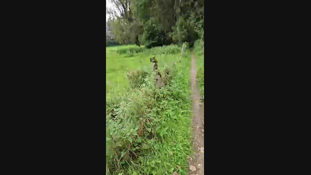 monsterlover  17-09-2023 Recorded Video show