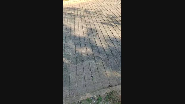 Baixinhobrasil  17-09-2023 Recorded Video jerkoff
