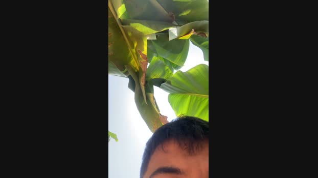 Pedrocam140503  17-09-2023 Recorded Video suck