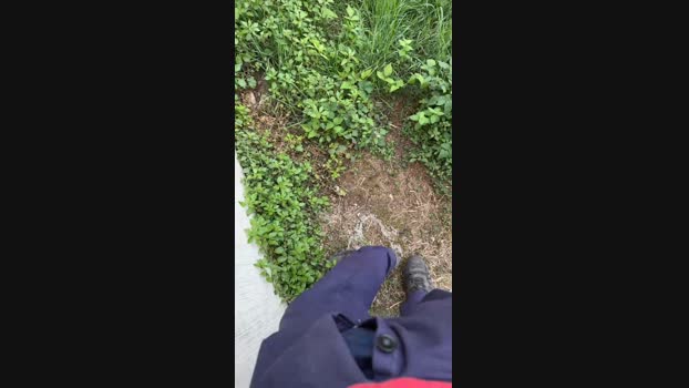 caio1825  18-09-2023 Recorded Video suck
