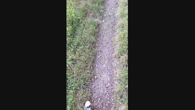 widder35  18-09-2023 Recorded Video deepthroat