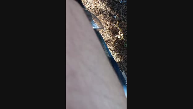 Kaio2469  19-09-2023 Recorded Video fuckhard