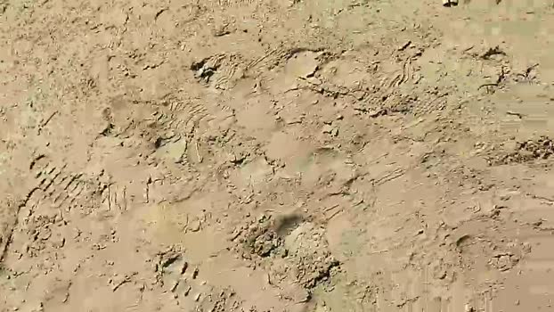 Pabloysebas  19-09-2023 Recorded Video ass