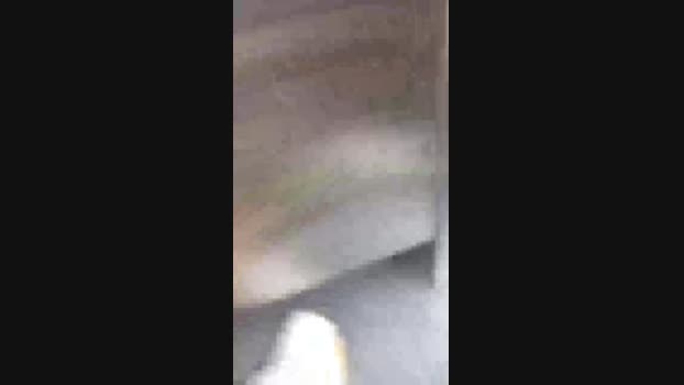 bastianboyfun  18-09-2023 Recorded Video gag