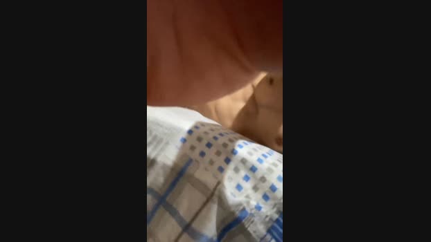 lucas6852  19-09-2023 Recorded Video hardcock