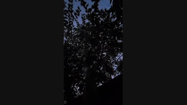 todibone  18-09-2023 Recorded Video bigballs