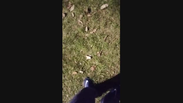 Carlosal22  19-09-2023 Recorded Video Pretty