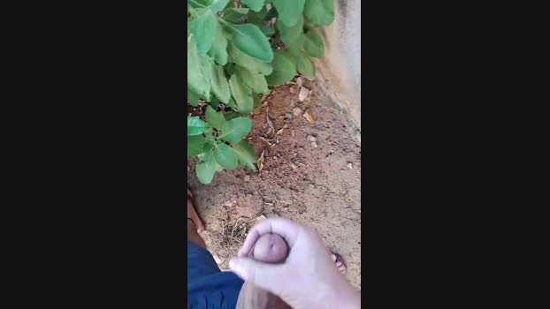 mwmgaara  19-09-2023 Recorded Video fuck