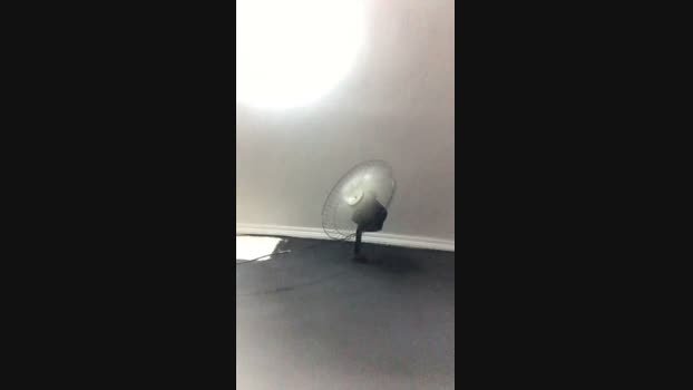 Picasso_23cm  20-09-2023 Recorded Video playtime