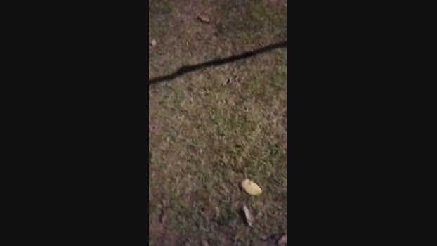 Carlosal22  21-09-2023 Recorded Video big