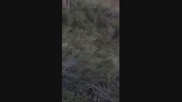 Laoquedad  21-09-2023 Recorded Video moan
