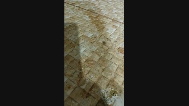 novinho_braz  21-09-2023 Recorded Video lush