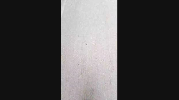 DePamplona  22-09-2023 Recorded Video sexybody