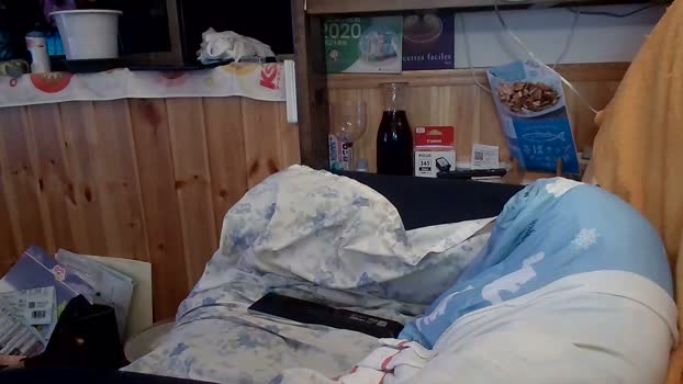 pao_onsen2  23-09-2023 Recorded Video dirty