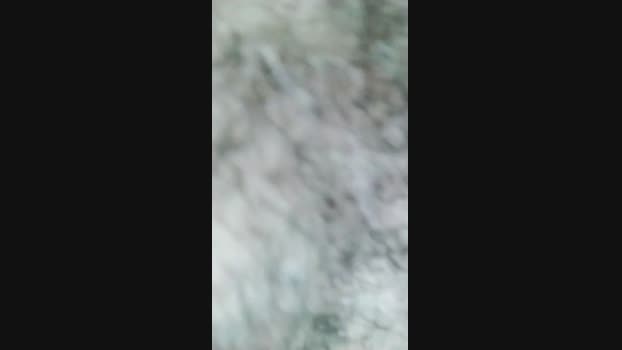 xxMorenosexx  22-09-2023 Recorded Video suckcock