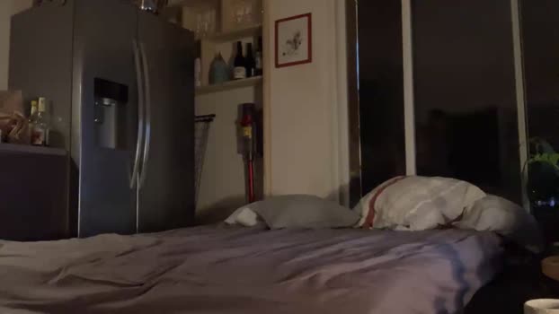 1canulepour2  24-09-2023 Recorded Video fuckher