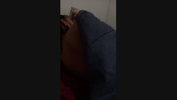 Browfi
