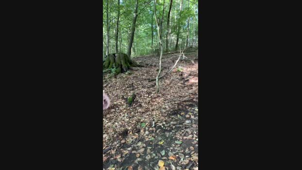 FALCOdaHOUSE  25-09-2023 Recorded Video lovense