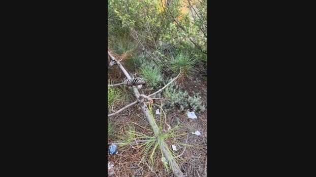 JOREDD  24-09-2023 Recorded Video amateur