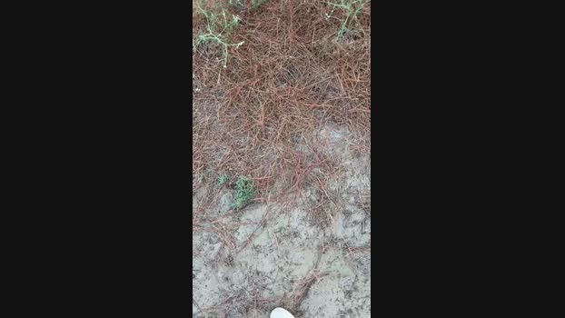 JOREDD  24-09-2023 Recorded Video hard