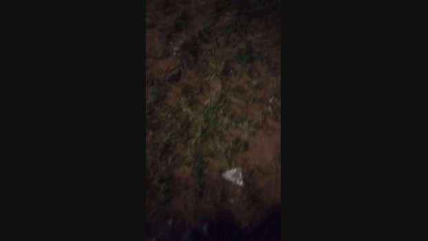 Carlosal22