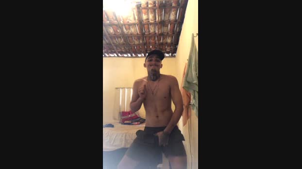 Picasso_25cm  25-09-2023 Recorded Video lovense