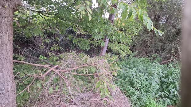widder35  26-09-2023 Recorded Video Video