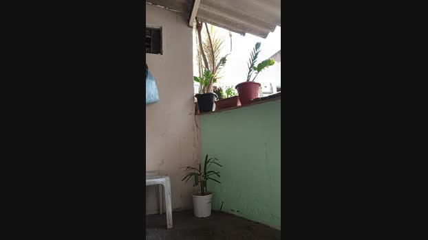 FelipeMathias  27-09-2023 Recorded Video Video