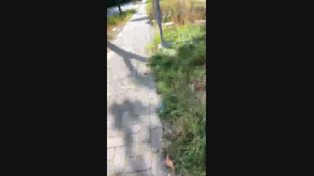 onenightonlyxxx  27-09-2023 Recorded Video skinny