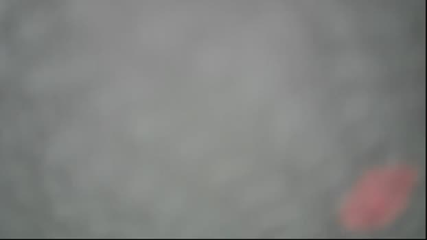 reivaxf  27-09-2023 Recorded Video ass