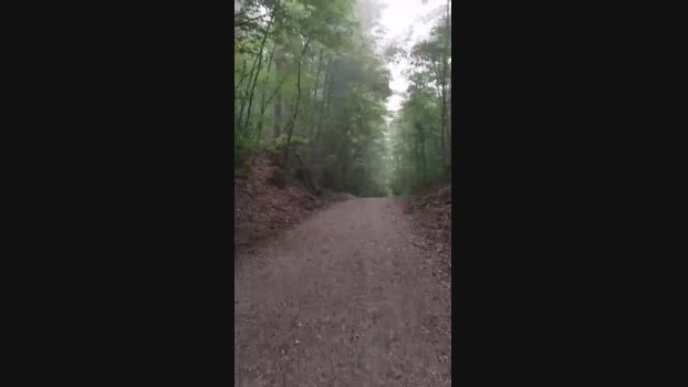 schweizerjan  27-09-2023 Recorded Video beauty