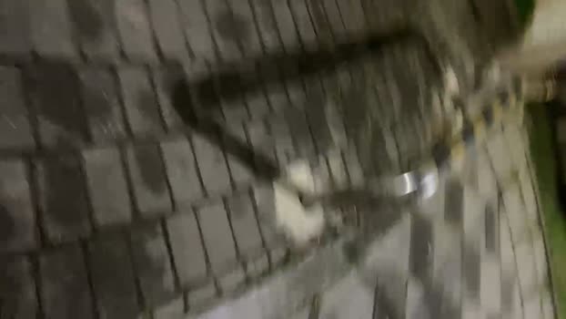 tinypineapple6